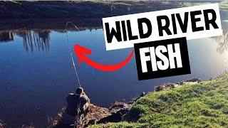 we HOOKED a BIG WILD River fish!!