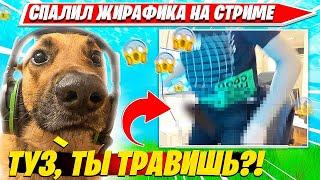 TOOSE СНОВА СПАЛИЛ ЖИРАФИКА НА СТРИМЕ, ВОЛОДЯ В ПОЛНОМ ШОКЕ!! НАРЕЗКА FORTNITE PRO PLAYS