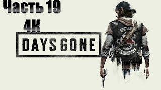 Days Gone Часть 19 Месть (МАКСИМАЛЬНАЯ СЛОЖНОСТЬ)