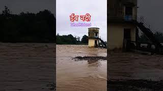 #jashpurvideo #shortsviral #dhodhidand #riverflood @jashpur Tirkey Creations