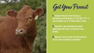 Apply for a Permit with the Missouri Farm Bureau