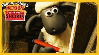 Duck Drawing - Shaun the Sheep [Full Episode]