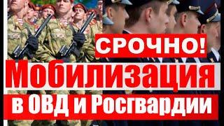 Мобилизация - 2025 в ОВД и Росгвардию. Новые Указы Президента. #призыв #военкомат #мобилизация