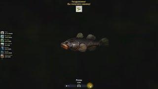 Ротан, турнир по ловле рыбы - ротан "Спаси водоем" в игре Trophy Fishing 2