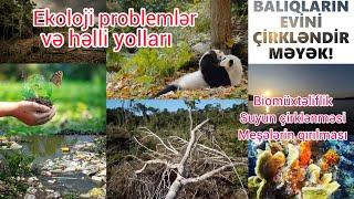 Ekoloji problemlər və onların həlli yolları. Ağacların qırılması, suyun çirklənməsi. EKOLOJİ PROBLEM