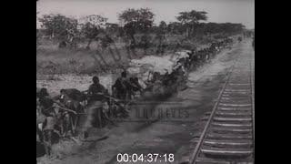 Building the Benguela Railway, Angola, 1920s - Film 1011563