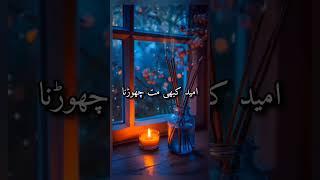 Umeed#shortvideo #islamicstatus #tech #understandingemotions