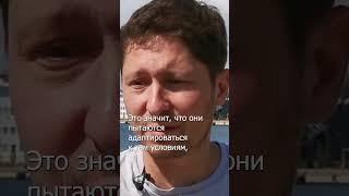 Украина не протестовала в Советском Союзе | #shorts #очевидцы #тв2