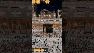 Allah  kiya Like subscribe 1m #love #cowgoat #beautiful naved pasha719