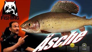 Russian Fishing 4 - Tunguska - Spinning, Topwater, Forellen, Äschen, Lenok, Buckellachs