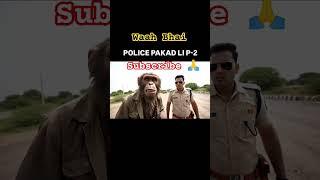 #viralmonkeyreels #comedy #shortvideo #funny #monkeyvideo #monkeyvlogger #monkey #shorts #short#yt