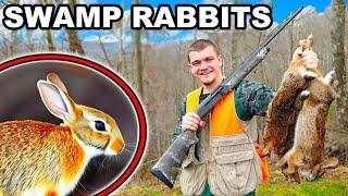 Hunting Swamp Rabbits in Louisiana!