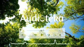 A Quiet Thought by Wayne Jones [ Free Copyright music] | Vlog Track |  AUDIOTEKA
