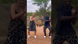 We danced infront of a lion  @isabellaafro #africa #travel #couple #lion #shorts