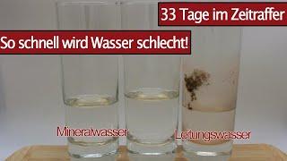 Leitungswasser und Mineralwasser über 33 Tage im Zeitraffer - Time Lapse zur Haltbarkeit von Wasser