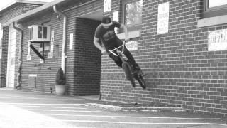 Alex Bodnar Spot Sampler Week 1