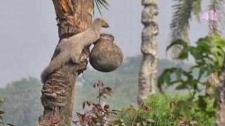 Beautiful Bangladesh in 4K