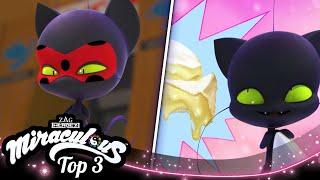 MIRACULOUS |  PLAGG ️ | SEASON 4 | Tales of Ladybug & Cat Noir