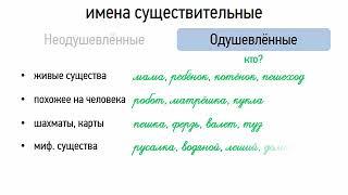 Одушевлённые и неодушевлённые имена существительные (6 класс, видеоурок-презентация)