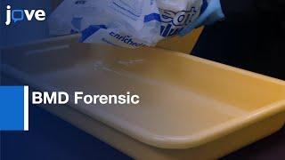 BMD Forensic for Skeletal Remains Scanning | Protocol Preview