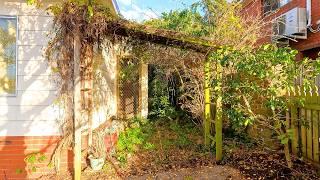 The Most SATISFYING Backyard Clean Up You Have Seen This YEAR!