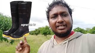 || Forest Nurseries Distribute Plants || Rs. 2 per plant ||