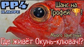 РР4. Где живет Окунь-Клювач на Норвежском море!? Высокий Шанс на Трофей?