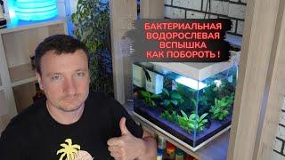 Мутная вода в аквариуме 100% РЕШЕНИЕ ! ! !