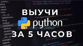 Курс Python с Нуля за 5 часов