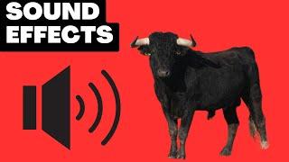 Bull with Sound Effects - Angry Bull Sounds and Noises, Animal Sounds