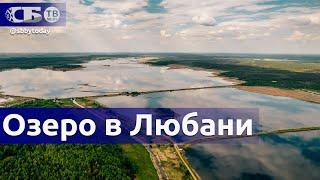 Любанское водохранилище | Места для рыбалки в Минской области | Где отдохнуть в Беларуси