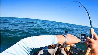 Montauk Mixed Bag Mission!  Fluke, Sea Bass and More! Kayak Fishing