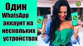 Один WhatsApp аккаунт на нескольких устройствах без заморочек