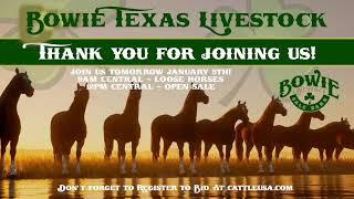 Bowie Texas Livestock January 4th Catalog Sale!