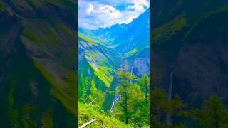 Sommer of Switzerland  #travel #سویس #طبیعت #swissalps #nature #alps #schweiz #viral #landscape