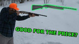 TriStar Raptor Semi-Auto SHOTGUN REVIEW!!!
