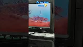 Разгаданы мысли у рыбы️ Полное видео уже на канале  «Мне вообще похую...»#рыбалка #казань #мысли