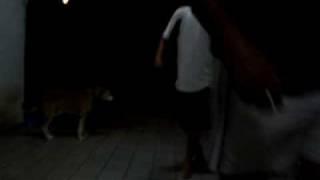 B-Boy Roxy