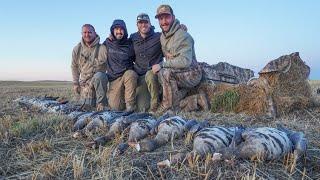 30 MINUTE LIMIT GOOSE HUNTING IN CANADA!!