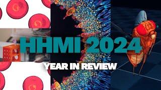 HHMI 2024 Year in Review