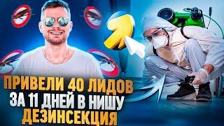 40 целевых заявок за 11 дней на Дезинсекцию. Кейс Яндекс Директ дезинсекция | бизнес дезинсекция