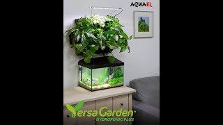 Versagarden Hydroponic Plus - Зелёные насаждения в Вашем доме!