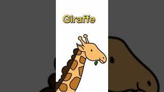 Animal's name in english #