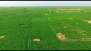 Tenali  the andhra paris