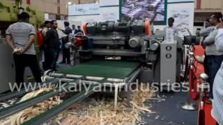 Spindleless Rotary Peeling Machine Model ki-1300-BDW/DD   During Delhi Wood 2017