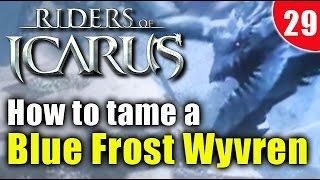 How to find and tame a Blue Frost Wyvren in Riders of Icarus