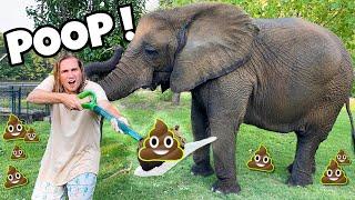 POOP SCOOPING  FOR MY ELEPHANT ! HOW MUCH WILL WE GET ?!