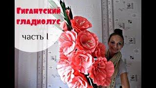 БОЛЬШИЕ ЦВЕТЫ. Мой ростовой ГЛАДИОЛУС. Часть 1