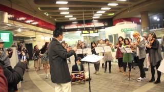 Arirang  orchestra in Harvard (아리랑 오케스트라 인 하버드)