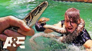 Top 3 PYTHON Captures | Billy the Exterminator | A&E